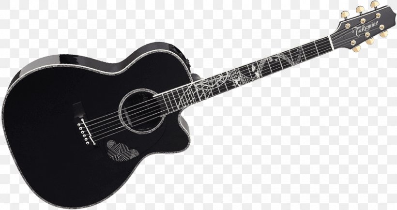 Gibson Les Paul Twelve-string Guitar Takamine Guitars Acoustic Guitar, PNG, 1081x573px, Watercolor, Cartoon, Flower, Frame, Heart Download Free
