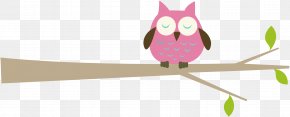 Branch Cliparts - Owl Free Content Branch Tree Clip Art PNG