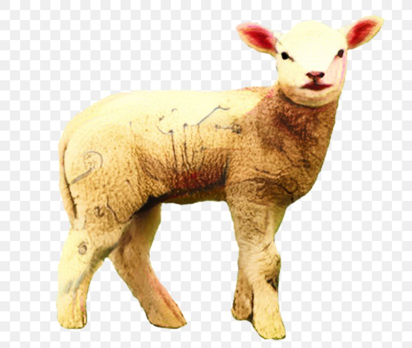 Clip Art Desktop Wallpaper Transparency Lamb And Mutton, PNG, 768x693px, Lamb And Mutton, Animal Figure, Cowgoat Family, Drawing, Fawn Download Free