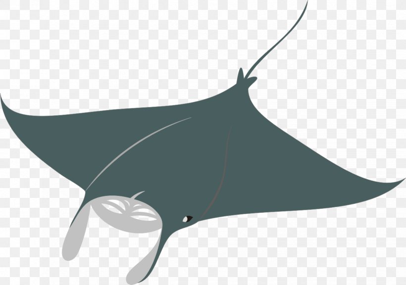 Shark Giant Oceanic Manta Ray Fish Whiptail Stingray, PNG, 1224x860px, Shark, Batoidea, Black And White, Cartilaginous Fish, Cdr Download Free