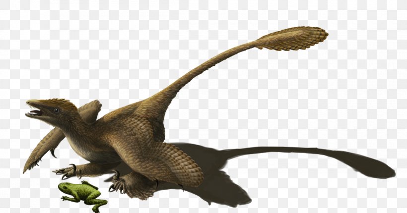 Velociraptor Sinornithosaurus Microraptor Utahraptor Reptile, PNG, 1200x630px, Velociraptor, Animal, Animal Figure, Deinonychus, Dinosaur Download Free