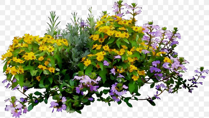 Violet Floral Design Annual Plant Purple, PNG, 1458x827px, Violet, Alyssum, Annual Plant, Bouquet, Buddleia Download Free