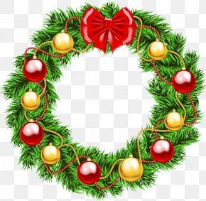 Tree Fir - Christmas Decoration PNG