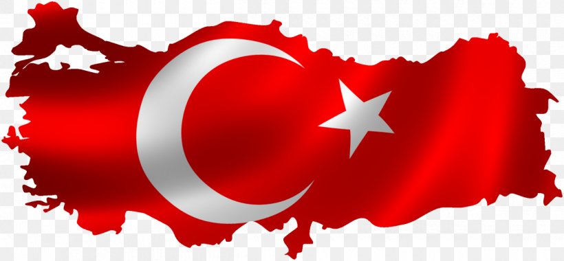 Flag Of Turkey National Flag Flag Of Vietnam, PNG, 1200x557px, Watercolor, Cartoon, Flower, Frame, Heart Download Free