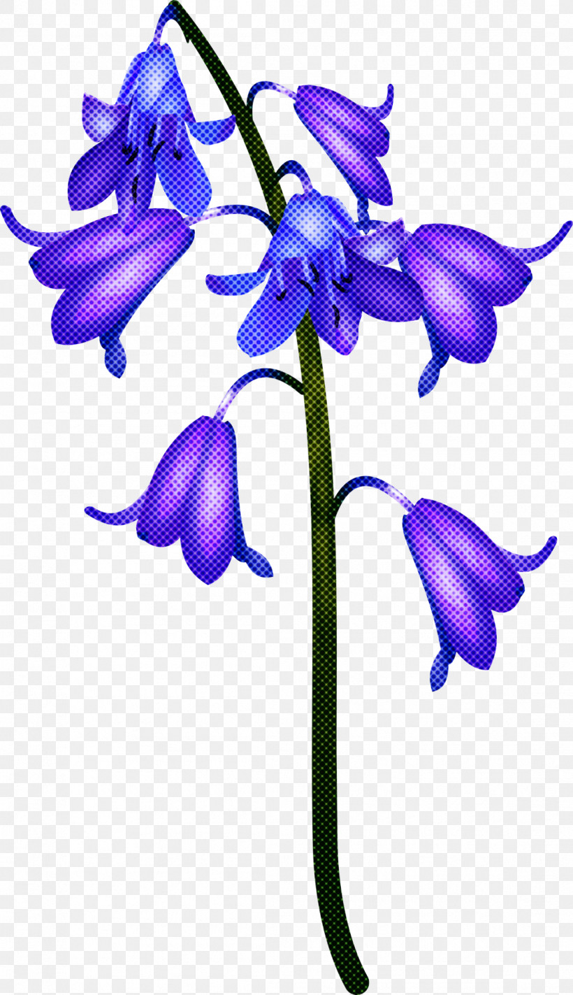 Flower Plant Purple Violet Bellflower Family, PNG, 1106x1920px, Flower, Bellflower, Bellflower Family, Pedicel, Petal Download Free
