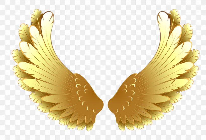 Vector Graphics Image Gold Clip Art, PNG, 1024x699px, Gold, Ear, Earrings, Fashion Accessory, Feather Download Free