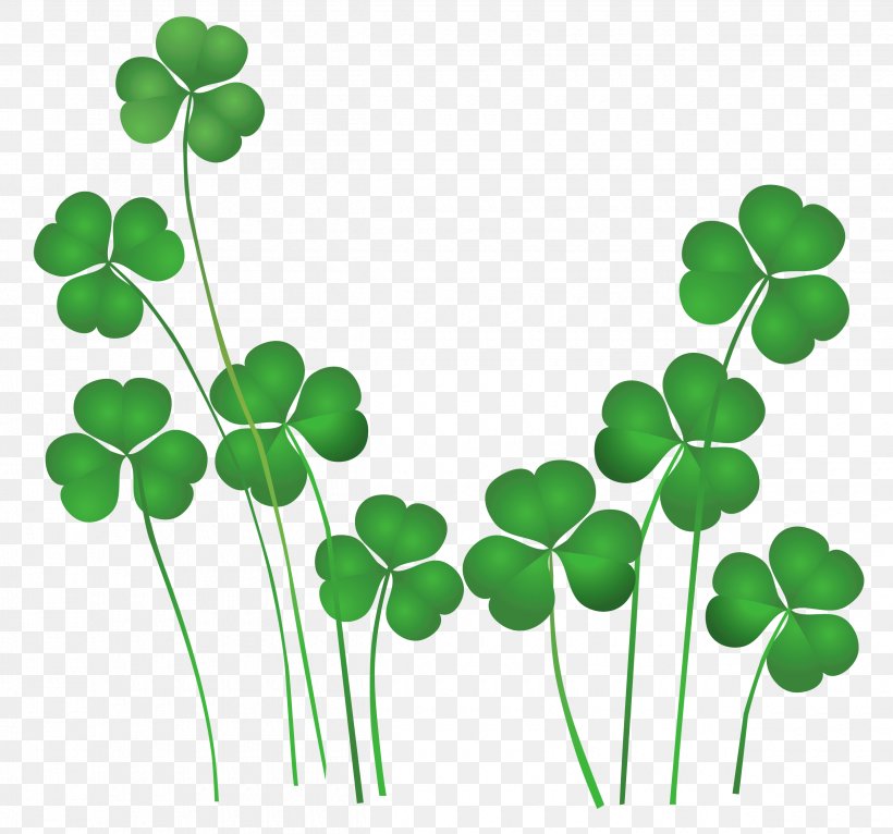 Saint Patrick's Day Shamrock Leprechaun Irish People Clip Art, PNG, 2500x2338px, Ireland, Calendar Of Saints, Flowering Plant, Grass, Green Download Free