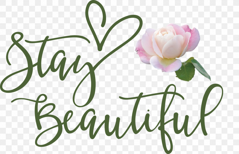 Stay Beautiful Fashion, PNG, 3000x1942px, Stay Beautiful, Biology, Cut Flowers, Fashion, Floral Design Download Free