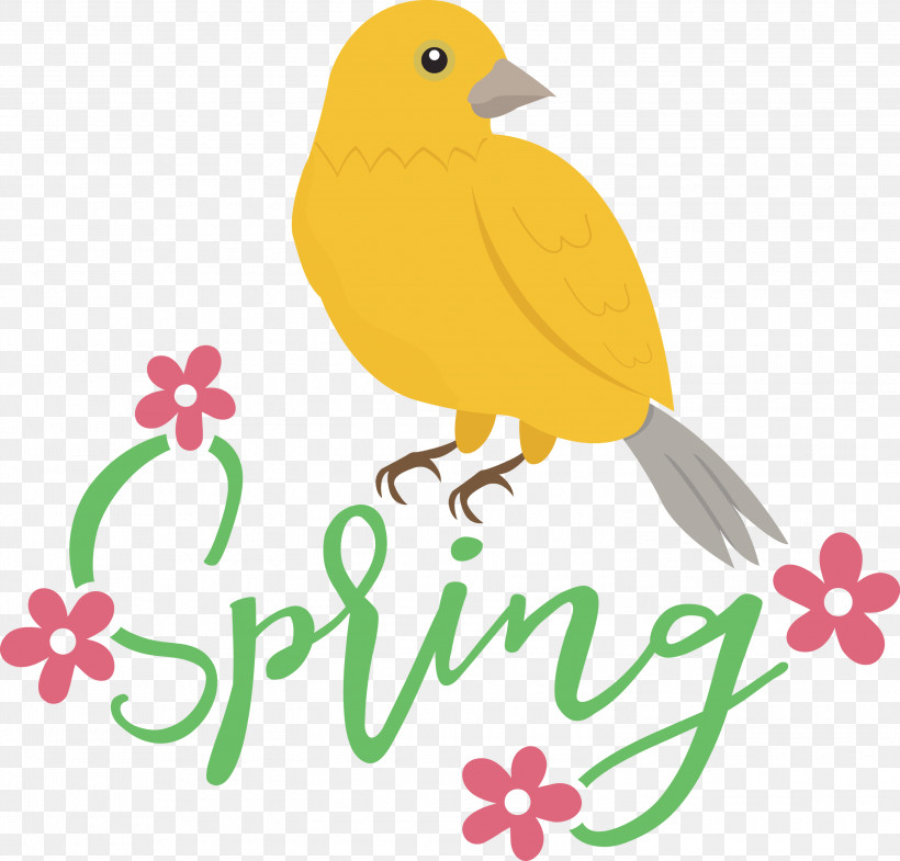 Spring Bird, PNG, 3000x2872px, Spring, Beak, Bird, Birds, Quotation Download Free