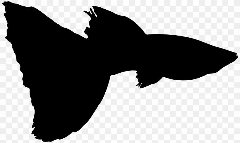 Clip Art Fauna Silhouette Beak Black M, PNG, 8000x4790px, Fauna, Beak, Black M, Blackandwhite, Silhouette Download Free