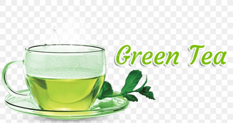Green Tea Clip Art Image, PNG, 850x448px, Green Tea, Drink, Food, Glass, Herbaceous Plant Download Free