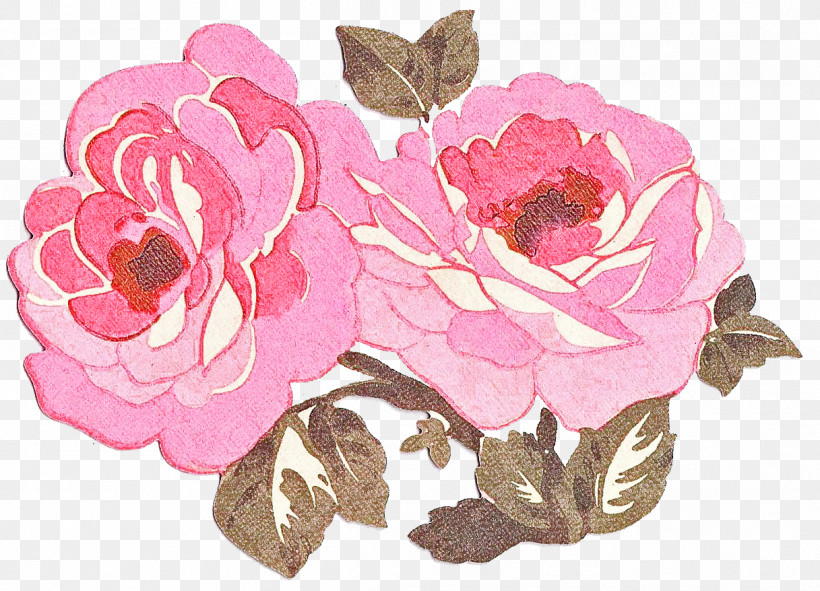 Garden Roses, PNG, 1217x878px, Garden Roses, Biology, Cabbage Rose, Cut Flowers, Floral Design Download Free
