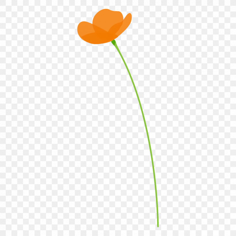 Poppy Flower, PNG, 1200x1200px, Poppy Flower, Flower, Leaf, Pedicel, Petal Download Free