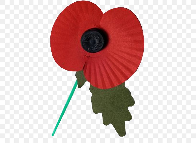Remembrance Poppy Desktop Wallpaper Armistice Day Png 500x600px