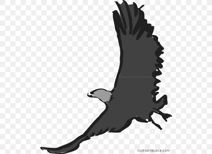 Bird Clip Art Bald Eagle Beak, PNG, 510x598px, Bird, Bald Eagle, Beak, Bird Flight, Bird Of Prey Download Free