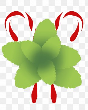 Pepermint - Flower Floral Design Petal Leaf DeviantArt PNG
