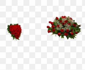 Rose - Garden Roses Floral Design Cut Flowers Flowerpot Petal PNG