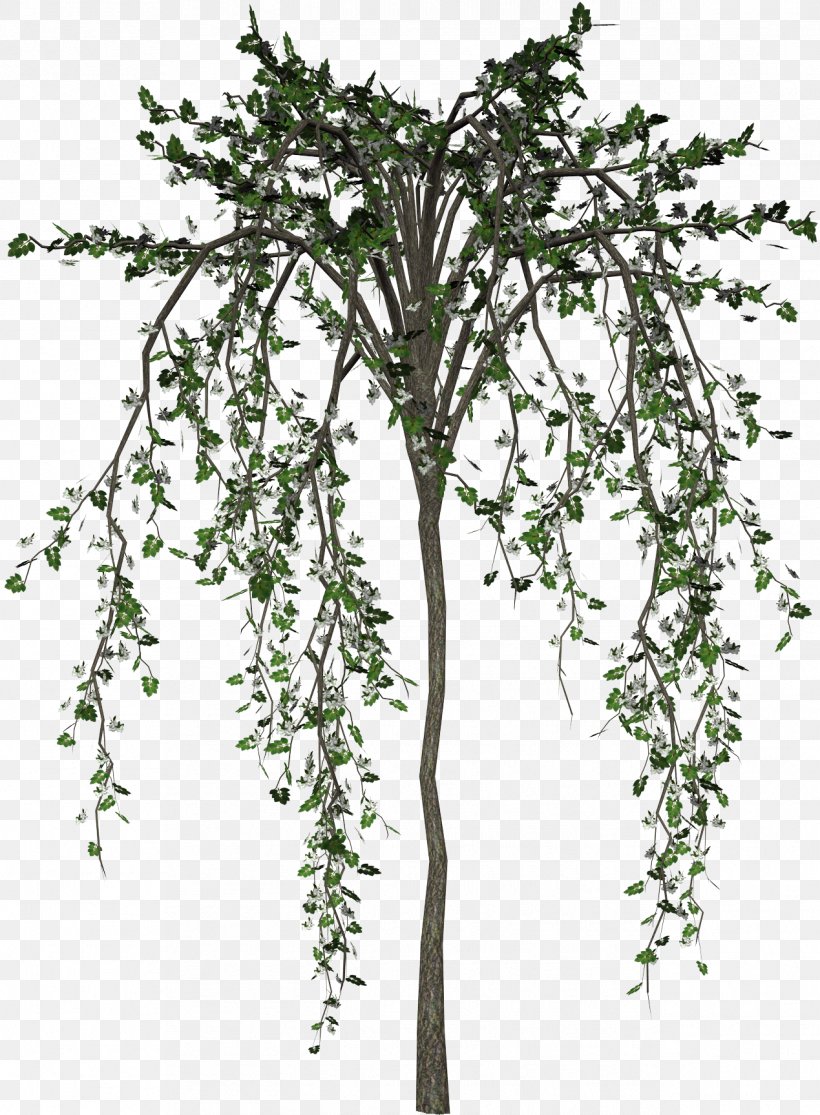 Tree Flower Plant Clip Art, PNG, 1269x1727px, Tree, Branch, Cut Flowers, Data, Digital Image Download Free
