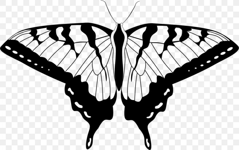Butterfly Clip Art, PNG, 1024x645px, Butterfly, Arthropod, Black And White, Brush Footed Butterfly, Butterflies And Moths Download Free