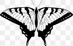 Butterfly - Butterfly Clip Art PNG