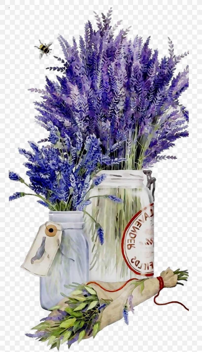 Lavender, PNG, 1781x3098px, Lavender, Art, Cut Flowers, Delphinium, English Lavender Download Free