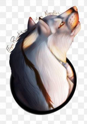 Cat - Whiskers Cat Snout Paw Jaw PNG