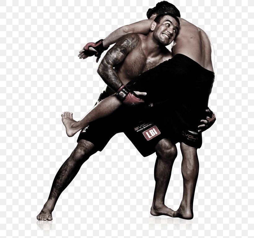 Mixed Martial Arts Evolve MMA Brazilian Jiu-jitsu Ultimate Fighting Championship, PNG, 650x766px, Mixed Martial Arts, Aggression, Arm, Boxing, Brazilian Jiujitsu Download Free