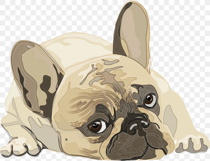 Pug Puppy Companion Dog Toy Dog Snout, PNG, 1880x1440px, Watercolor, Cartoon, Companion Dog, Dog, Groupm Download Free