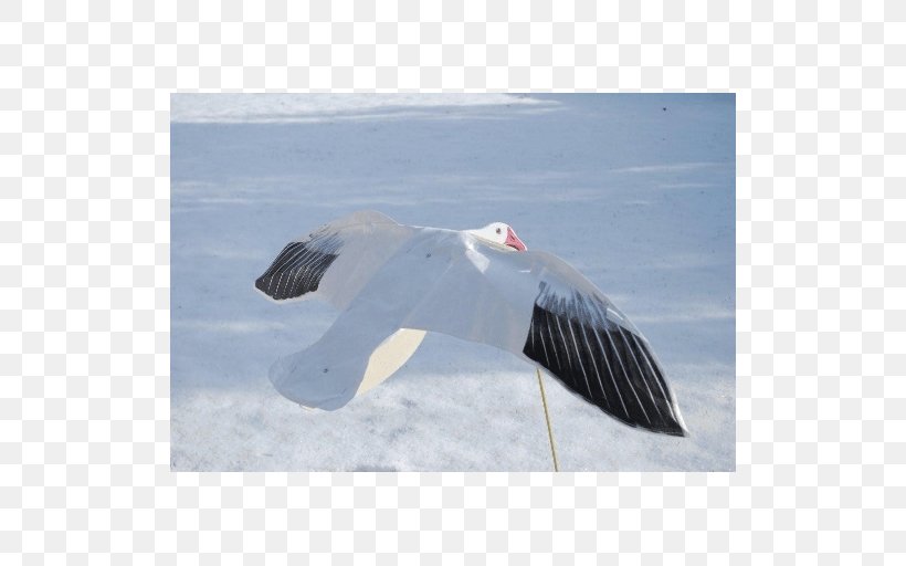 Snow Goose Decoy Waterfowl Hunting, PNG, 512x512px, Goose, Bird, Canada Goose, Charadriiformes, Decoy Download Free