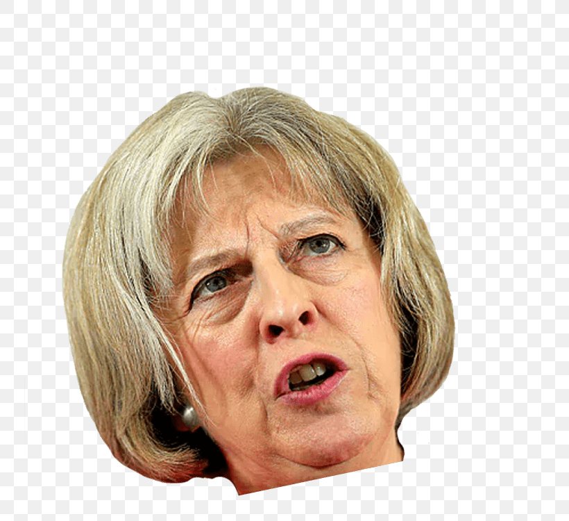 Theresa May Home Secretary Of The United Kingdom Brexit Police, PNG, 750x750px, Theresa May, Bbc News, Blond, Brexit, Cheek Download Free