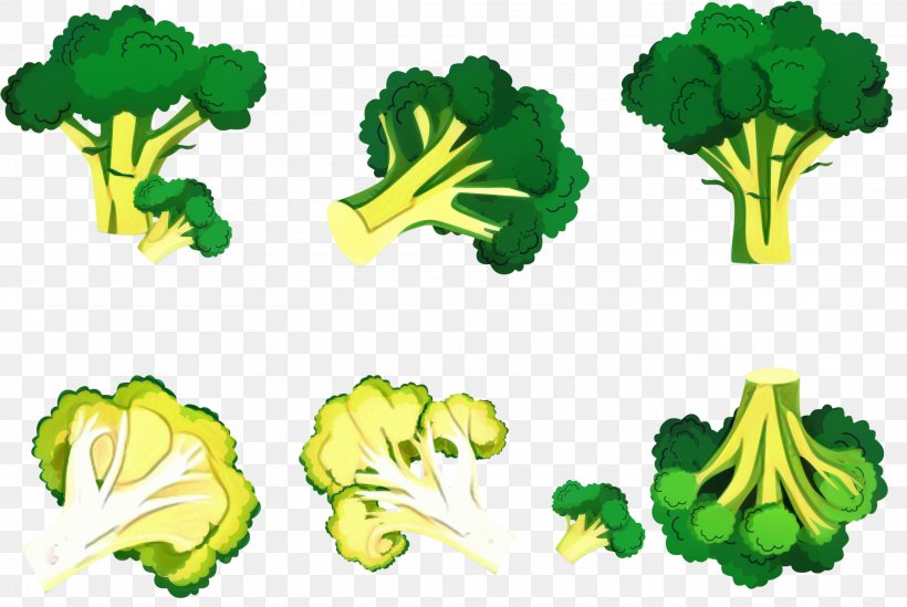 Vegetables Cartoon, PNG, 2932x1964px, Greens, Broccoli, Leaf, Leaf Vegetable,  Lettuce Download Free