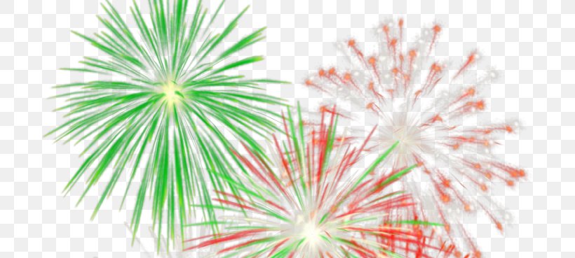 Adobe Fireworks Clip Art, PNG, 703x369px, Fireworks, Adobe Fireworks, Birthday, Color, Event Download Free