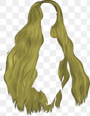 Capelli PNG