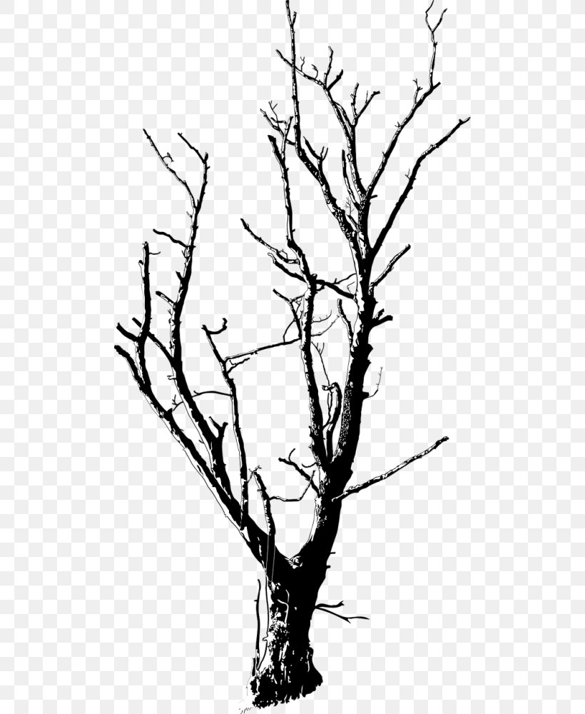 Clip Art Vector Graphics Drawing Branch, PNG, 500x1000px, Drawing, Artwork, Black And White, Branch, Flora Download Free