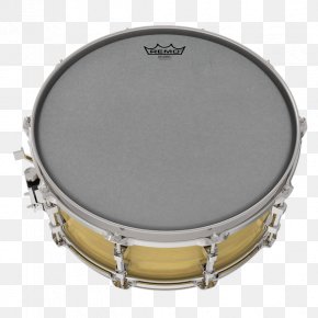 Snare - Drumhead Snare Drums Remo PNG