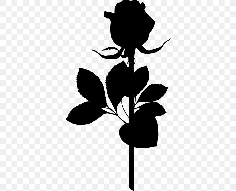 Flower Floral Design GIF Animation Rose, PNG, 576x665px, Flower, Animation, Blackandwhite, Botany, Drawing Download Free