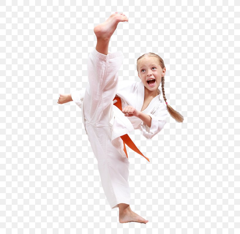 Karate Korean Martial Arts Black Belt Taekwondo, PNG, 479x800px, Watercolor, Cartoon, Flower, Frame, Heart Download Free