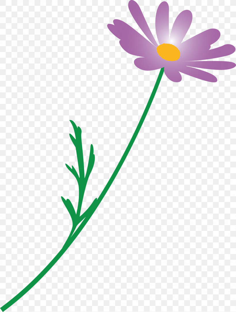 Marguerite Flower Spring Flower, PNG, 2275x3000px, Marguerite Flower, Camomile, Chamomile, Daisy, Daisy Family Download Free