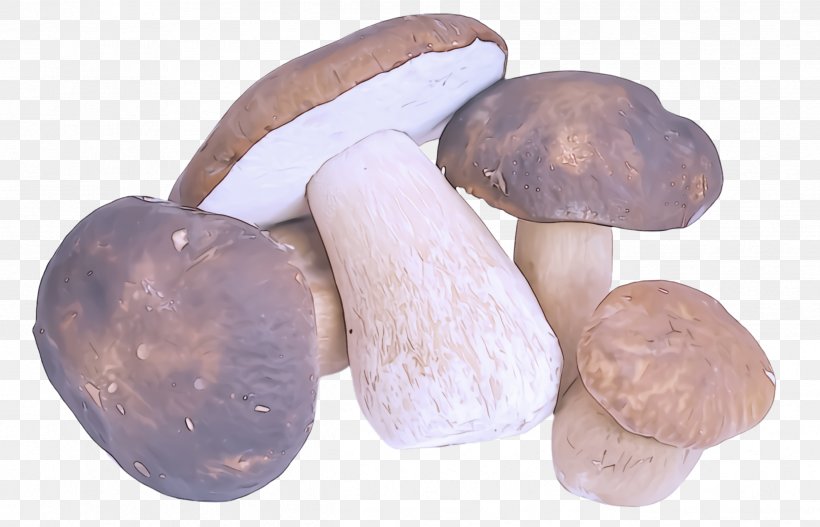 Mushroom Shiitake Penny Bun Edible Mushroom, PNG, 2492x1604px, Mushroom, Edible Mushroom, Penny Bun, Shiitake Download Free