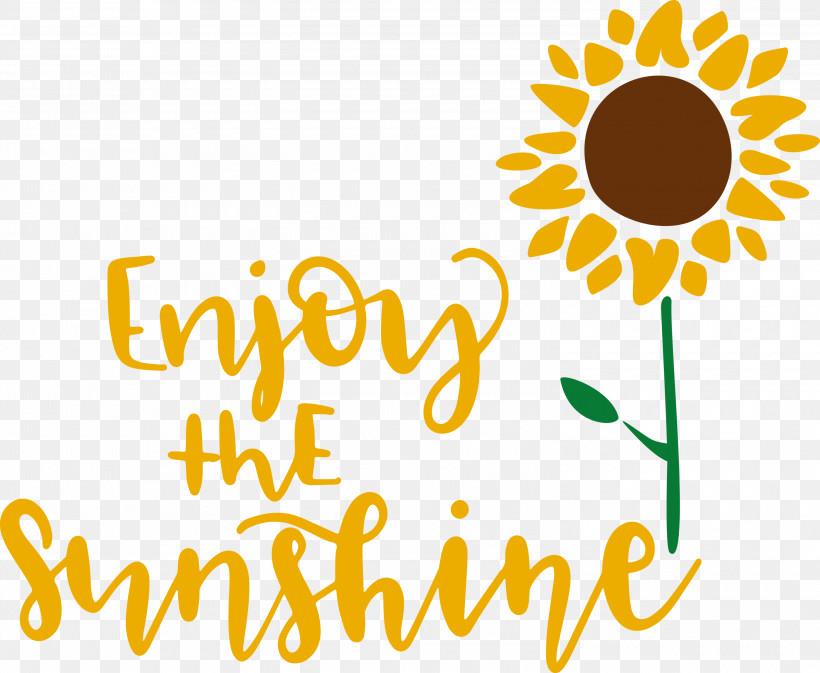 Sunshine Enjoy The Sunshine, PNG, 3000x2465px, Sunshine, Cut Flowers, Daisy Family, Floral Design, Flower Download Free
