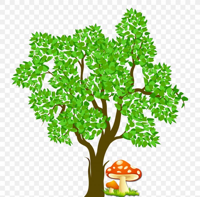 Tree Chart, PNG, 1434x1410px, Tree, Branch, Chart, Family Tree, Flowering Plant Download Free