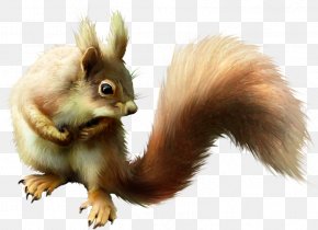 Guts - Tree Squirrel Chipmunk Fox Squirrel Cat PNG