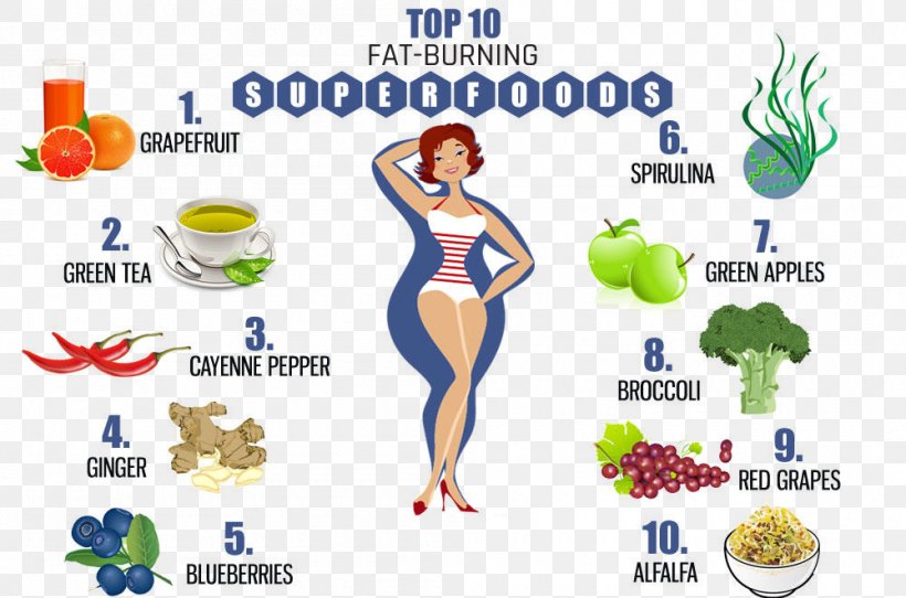 Weight Loss Abdominal Obesity Food High-protein Diet Eating, PNG, 1000x661px, Weight Loss, Abdominal Obesity, Adipose Tissue, Area, Calorie Download Free