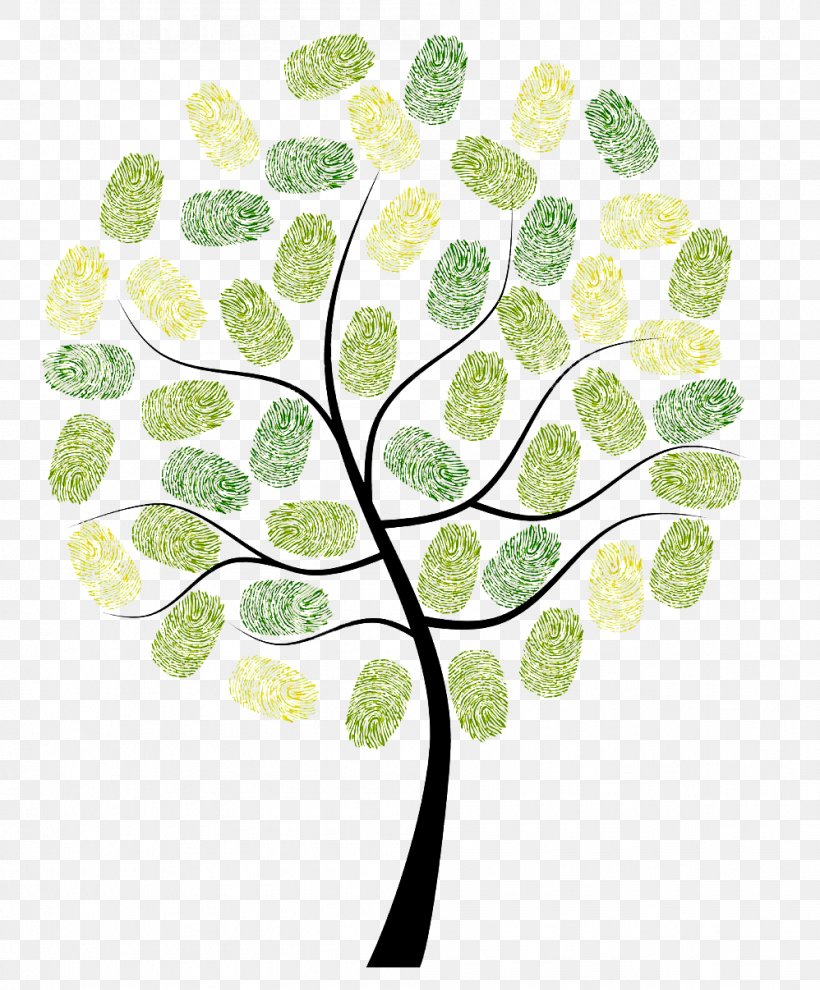Fingerprint Owl Tree Digit Euclidean Vector, PNG, 998x1206px, Fingerprint, Branch, Digit, Finger, Flora Download Free