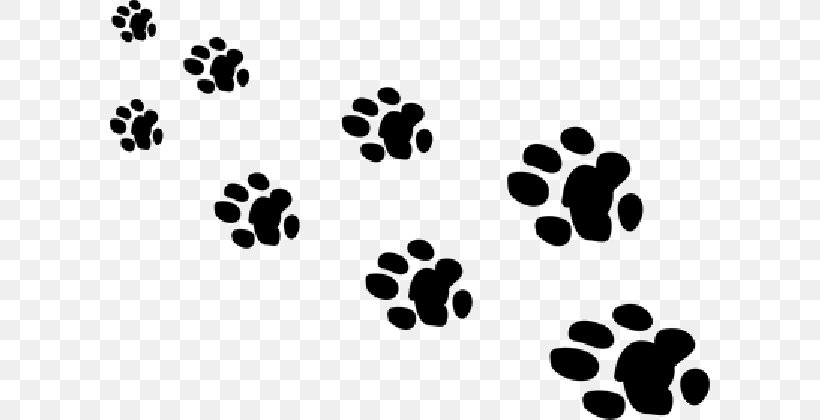 Giant Panda Bear Paw Animal Footprint, PNG, 600x420px, 2017, Giant Panda, Animal, Bear, Black Download Free