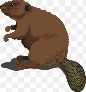 Wood Pile Cliparts - North American Beaver Silhouette Clip Art PNG