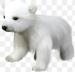 Cute Small Polar Bear Clipart - Polar Bear Clip Art PNG