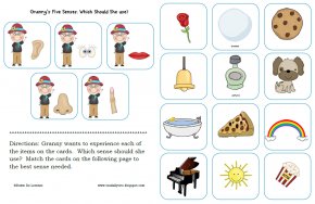 5 Senses Cliparts - The Five Senses Somatosensory System Sensory Nervous System Clip Art PNG