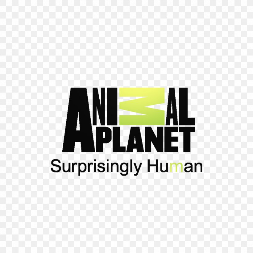 Animal Planet Cat Television Channel Discovery Channel, PNG, 1080x1080px, Animal Planet, Animal, Brand, Cat, Discovery Channel Download Free