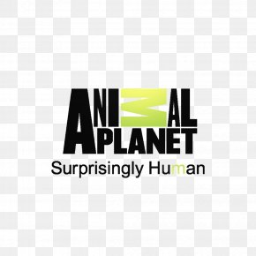 O Creative - Animal Planet Cat Television Channel Discovery Channel PNG